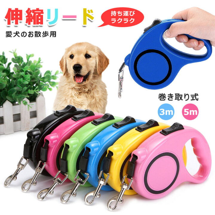 Retractable dog leash in multiple colours